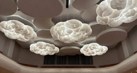 enhanced sound absorption efficiency