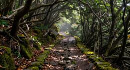 uncharted prompt manipulation routes