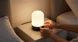 2 Best Home Night Lights in 2026